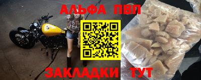 стафф Кингисепп