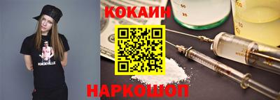 стафф Кингисепп