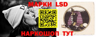 стафф Кингисепп