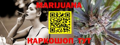 стафф Кингисепп