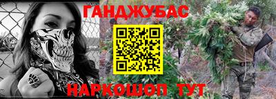 стафф Кингисепп