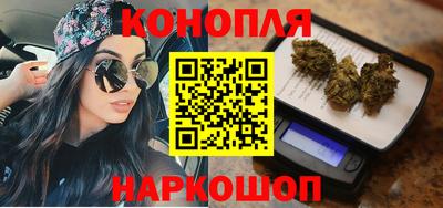 стафф Кингисепп