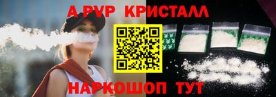 стафф Кингисепп