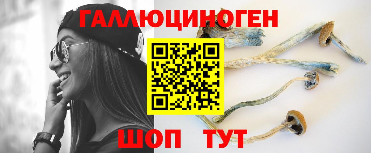 где продают наркотики  Псилоцибиновые грибы мицелий  Галлюциногенные грибы Cubensis  Вход с VPN  Коммунар 